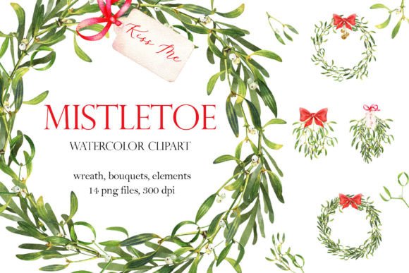 Christmas Greenery Bouquet,mistletoe Png in Illustrations
