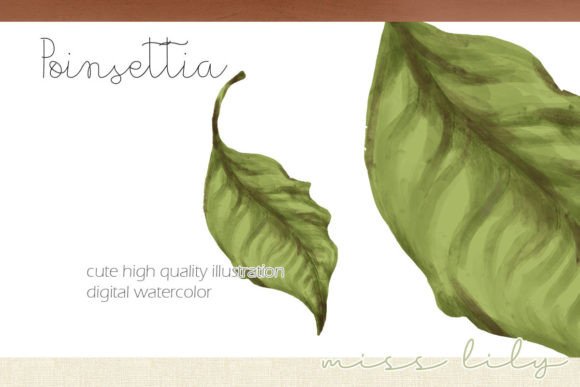 Christmas Leaf Illustration for Creative Design Projects