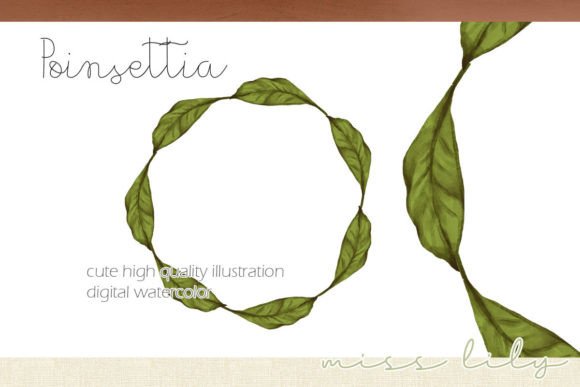 Christmas Leaves Wreath Illustration Review