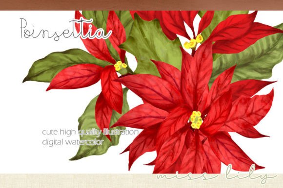 Poinsettia Christmas Clipart for Handmade Creations