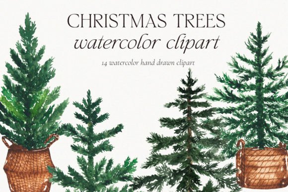 Watercolor Christmas Pine Tree Clipart for Brand Illustrations